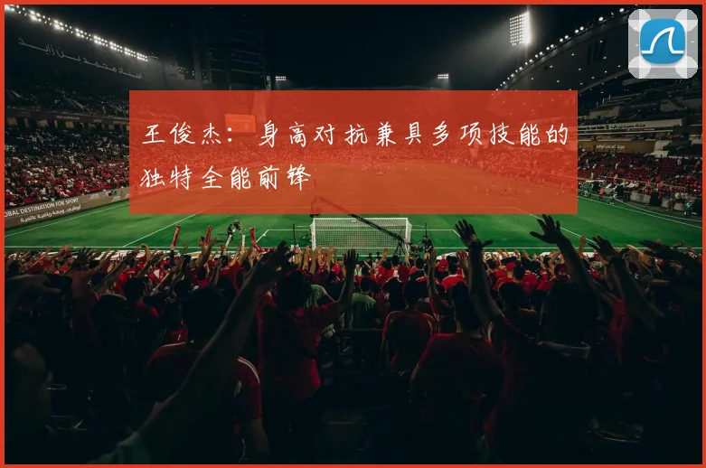 王俊杰：身高对抗兼具多项技能的独特全能前锋