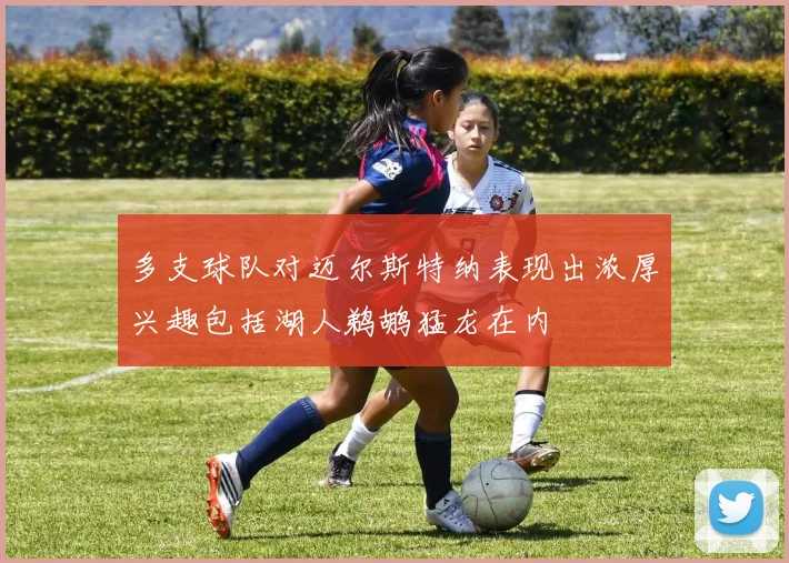 多支球队对迈尔斯特纳表现出浓厚兴趣包括湖人鹈鹕猛龙在内