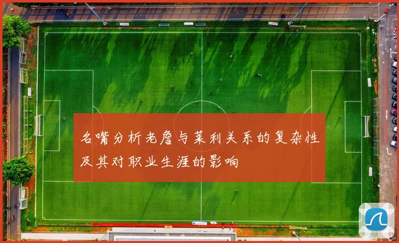 名嘴分析老詹与莱利关系的复杂性及其对职业生涯的影响